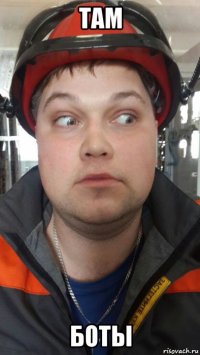 там боты