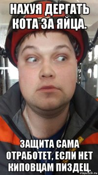нахуя дергать кота за яйца. защита сама отработет, если нет киповцам пиздец.