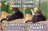 учу котов заниматься гимнастикой))))))) я дымяра котёночкина ес чё)))