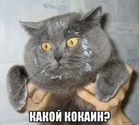  какой кокаин?