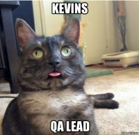 kevins qa lead