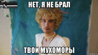 нет, я не брал твои мухоморы