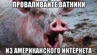 проваливайте ватники из американского интернета