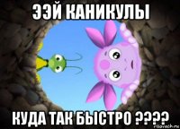 ээй каникулы куда так быстро ????