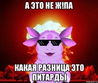 а это не ж!па какая разница это питарды