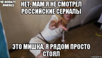 нет, мам я не смотрел российские сериалы это мишка, я рядом просто стоял