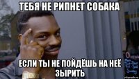 тебя не рипнет собака если ты не пойдёшь на неё зырить