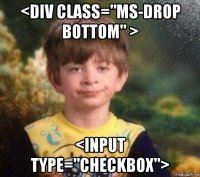 <div class="ms-drop bottom" > <input type="checkbox">