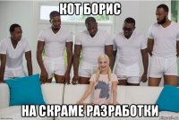 кот борис на скраме разработки