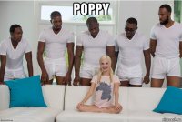 poppy 