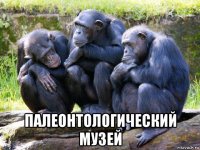  палеонтологический музей