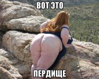 вот это пердище