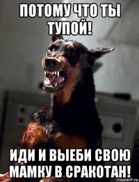 потому что ты тупой! иди и выеби свою мамку в сракотан!