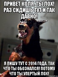 привет коля. ты лох! раз сидишь тут и так давно! я пишу тут с 2014 года. так что ты обознался! потому что ты упертый лох!