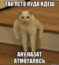 так лето куда идеш ану назат атмоталось