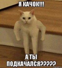 я качок!!! а ты подкачался?????