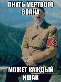 пнуть мертвого волка может каждый ишак