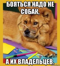 бояться надо не собак, а их владельцев.