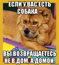 если у вас есть собака – вы возвращаетесь не в дом, а домой.
