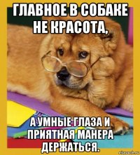 главное в собаке не красота, а умные глаза и приятная манера держаться.