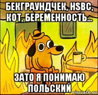 бекграундчек, hsbc, кот, беременность... зато я понимаю польский