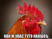  как ж увас туто каошоъ