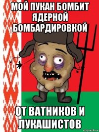 мой пукан бомбит ядерной бомбардировкой от ватников и лукашистов