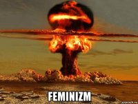  feminizm