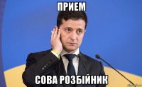 прием сова розбiйник