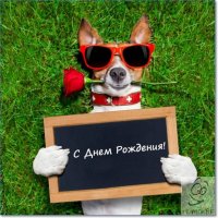 Создать мем 24