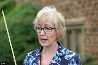 Создать мем Andrea leadsom angry