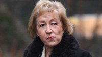 Создать мем Andrea leadsom