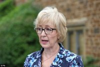Создать мем Andrea leadsom