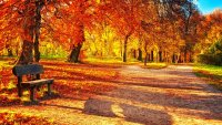 Создать мем Autumn
