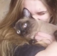 Создать мем Девочка с котом