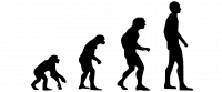 Создать мем Evolution