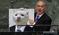 Создать мем Кот матвея