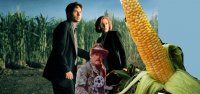 Создать мем Кукуруза-хищник