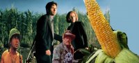 Создать мем Кукуруза