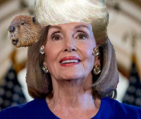 Создать мем Nancy pelosi