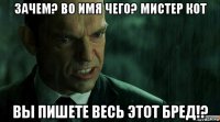 зачем? во имя чего? мистер кот вы пишете весь этот бред!?