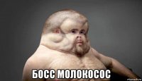  босс молокосос