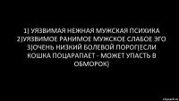 1) Уязвимая нежная мужская психика
2)Уязвимое ранимое мужское слабое Эго
3)Очень Низкий болевой порог(если кошка поцарапает - может упасть в обморок)