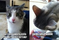 Не спрашивать Кэпа про встречу с Котом? Да ну, бред какой то)