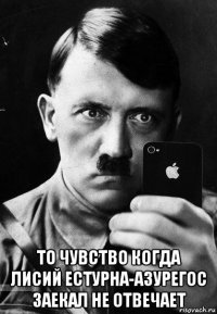  то чувство когда лисий естурна-азурегос заекал не отвечает