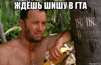 ждёшь шишу в гта 
