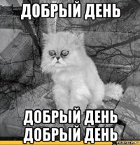 добрый день добрый день добрый день