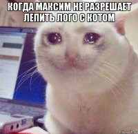 когда максим не разрешает лепить лого с котом 