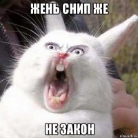 жень снип же не закон