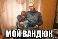  мой вандюк